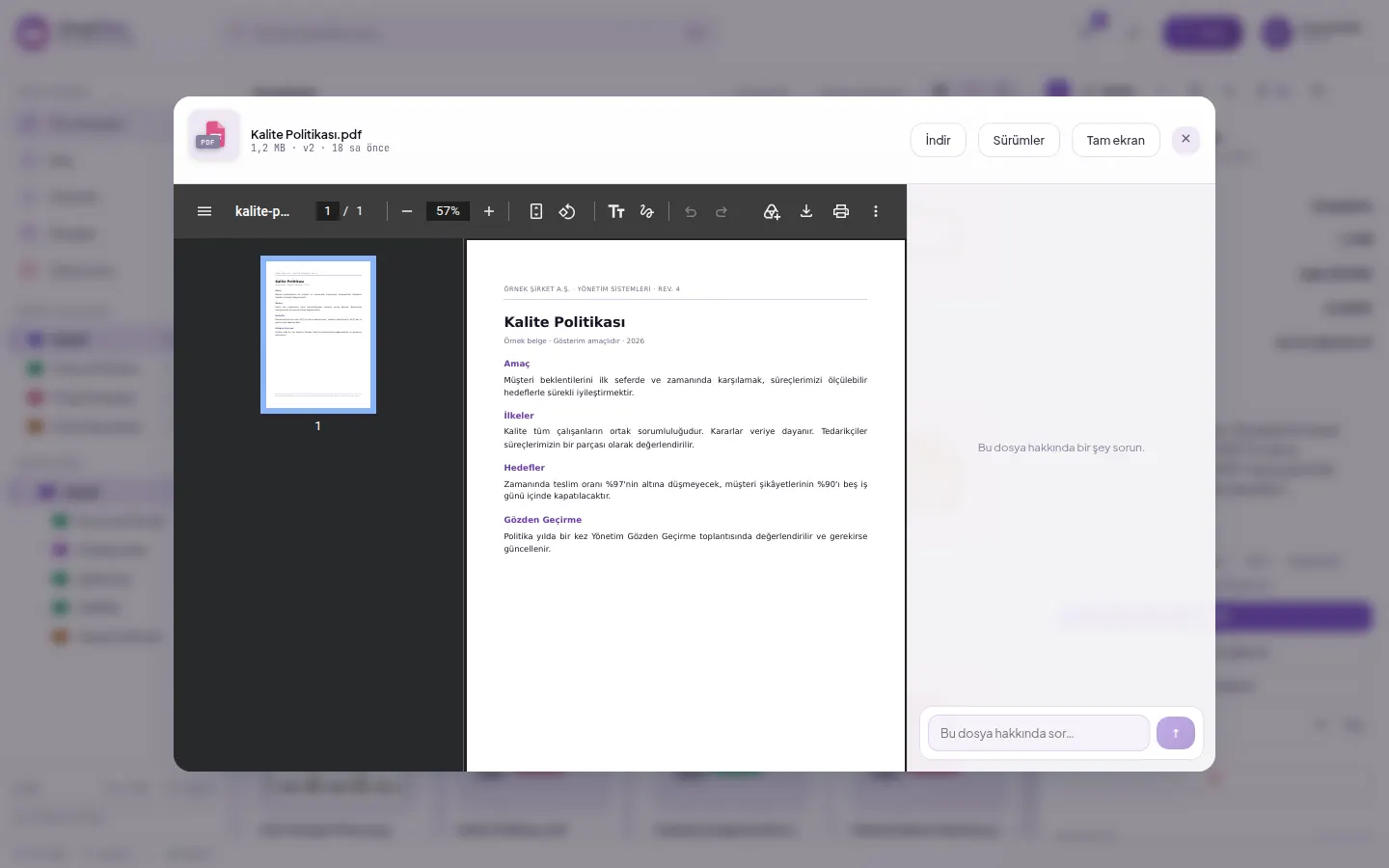 Preview window: document and question input field beside it