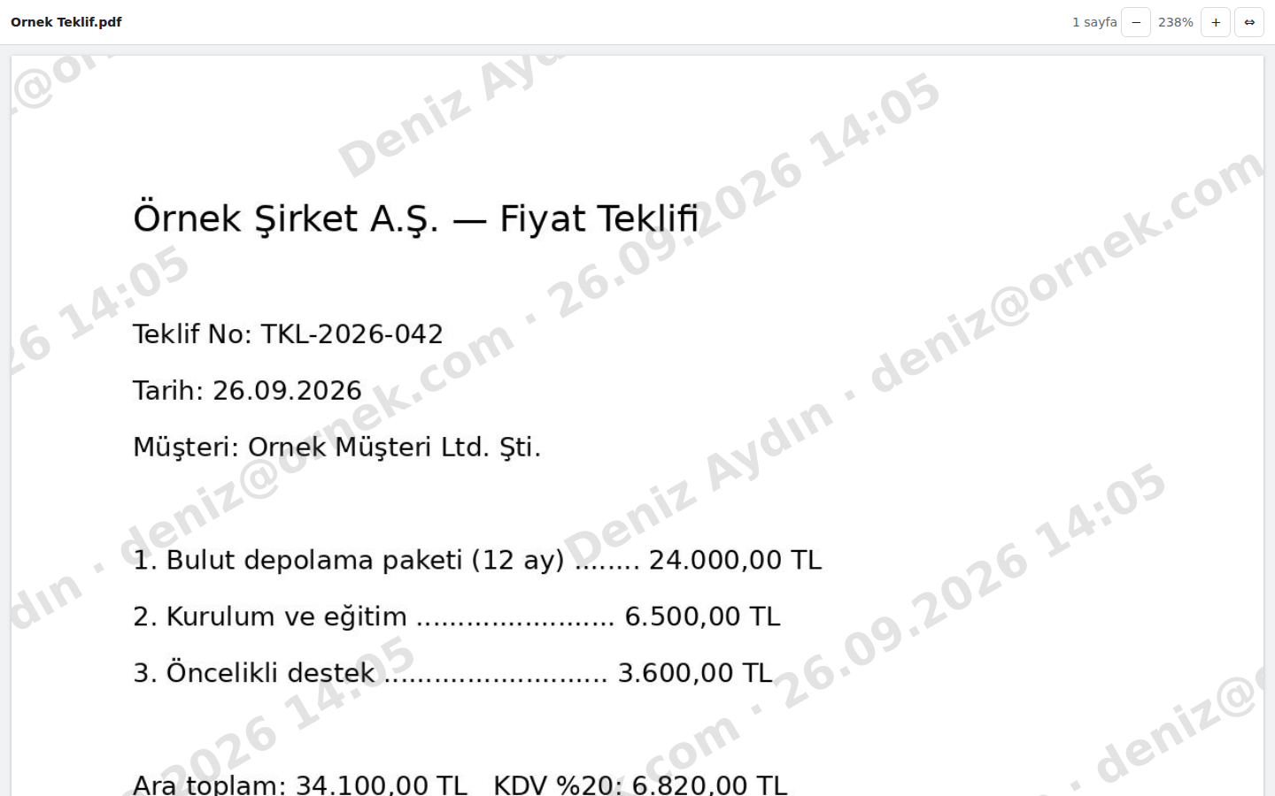 Quote opened via view-only link: recipient's name, email, and date appear as watermarks on every page