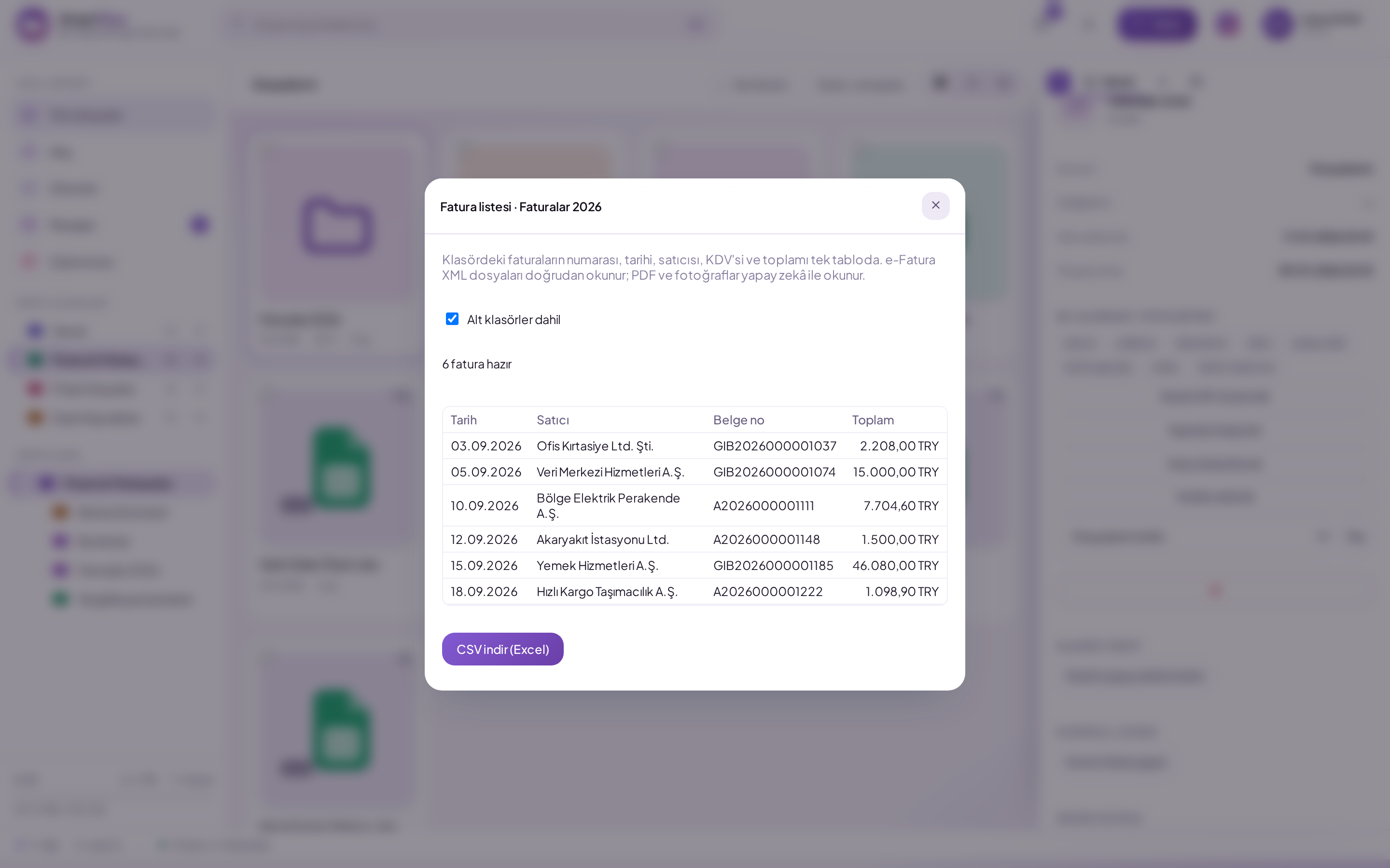 Invoice list window: invoices in the folder with date, vendor, document number and total