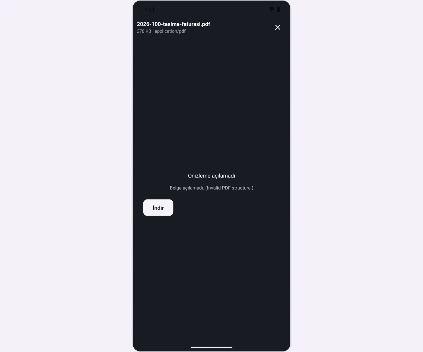 Preview could not be opened screen and Download button