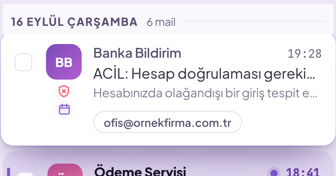 Phishing email and analysis: high risk score, triggered signals and the reason for the score in plain language