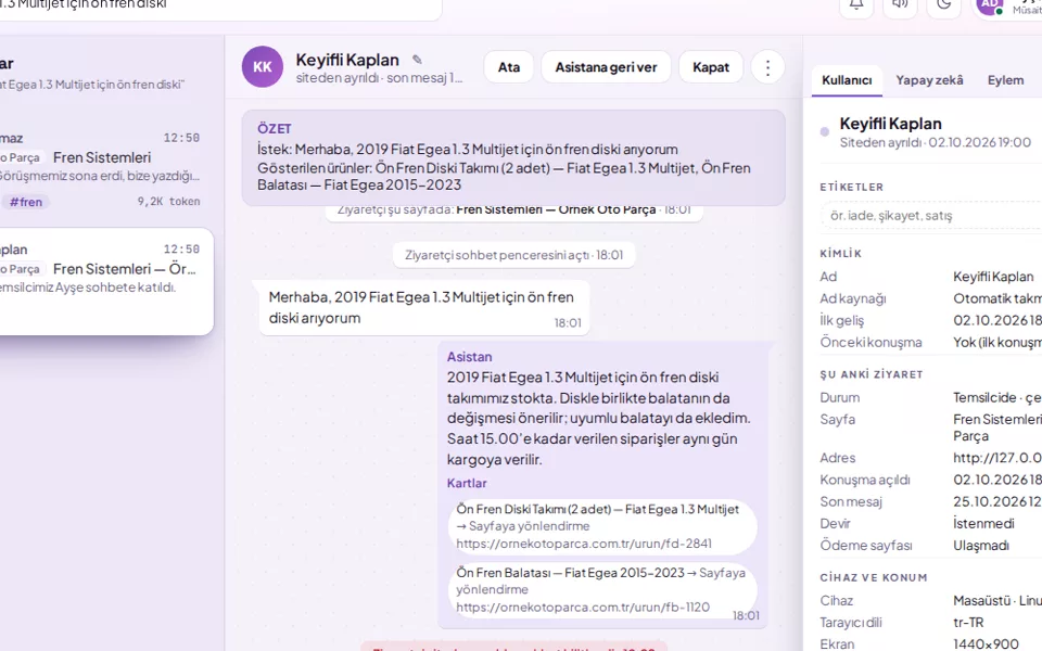 The summary box at the start of the taken-over conversation (with demo data)