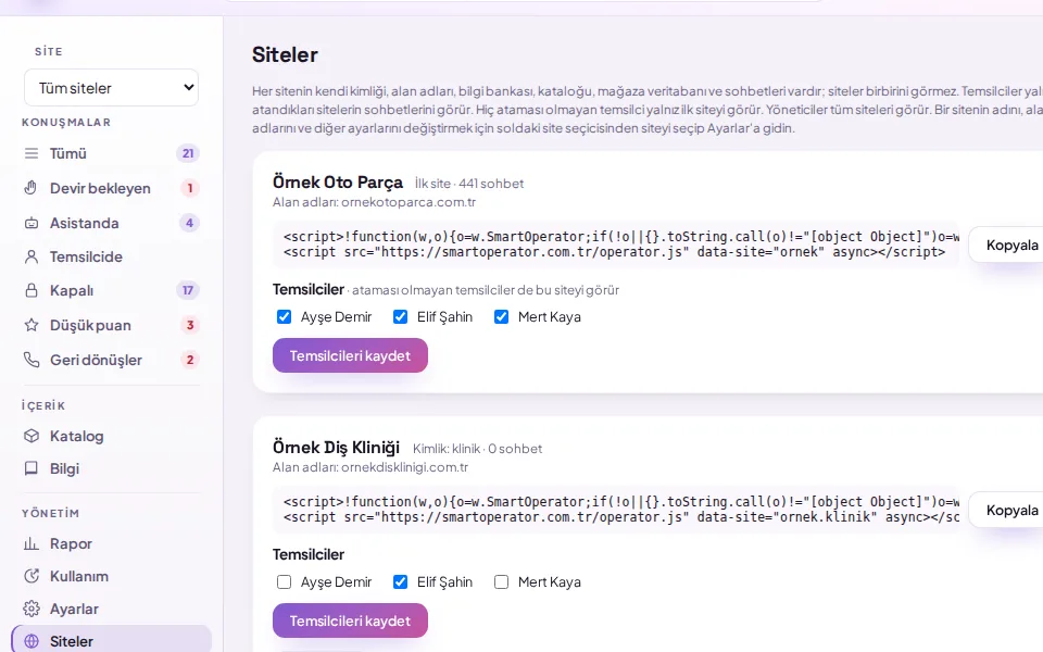 Assigning representatives to sites (with demo data)