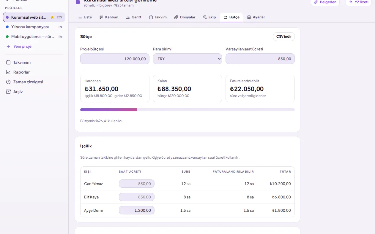 Project budget, spent and remaining amounts, person hourly rates