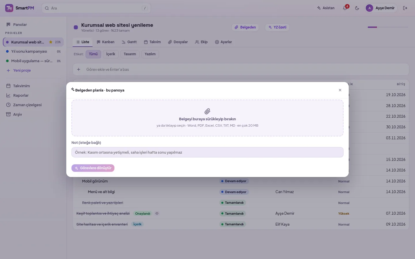 AI project status summary: overall status, risks and recommendations