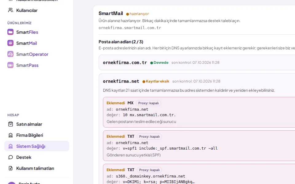 Record list: type, name, value, "Detail" (shown with demo data)
