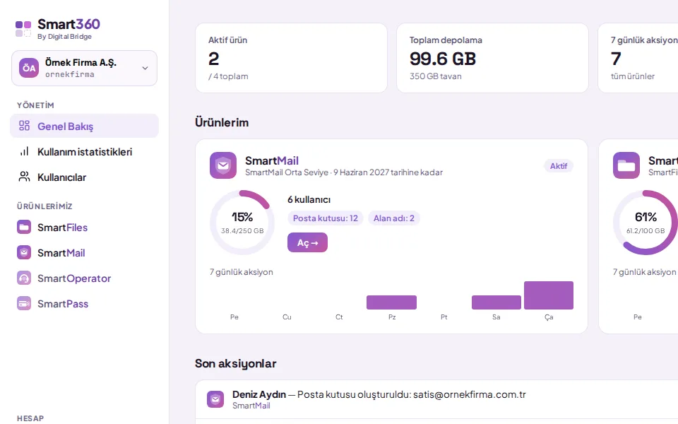 Overview: summary boxes (shown with demo data)