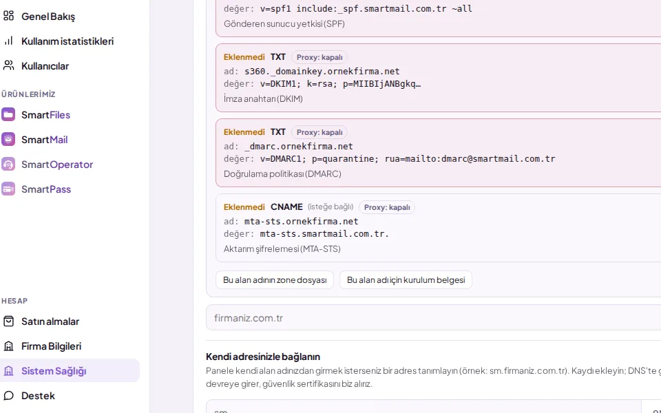 Record list: the "(optional)" label (shown with demo data)